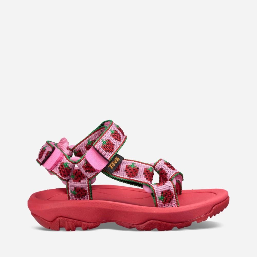 Teva Hurricane XLT 2 - Kids' Teva Hiking Sandals - Pink | India (KRHM27614)